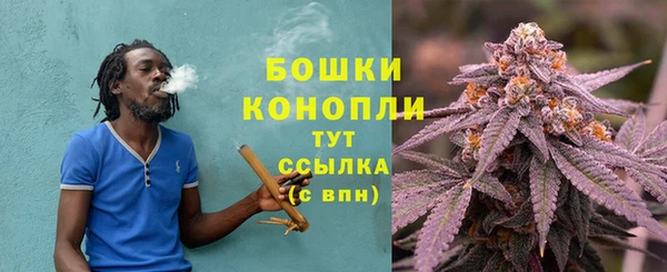 прущая мука Инта