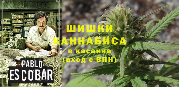 COCAINE Инсар