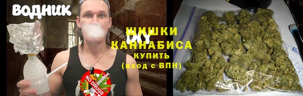 прущая мука Инта